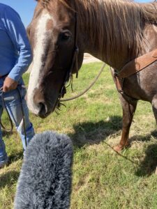 A horse gets into the interview by reporter Calen Moore of HPPR while talking with a rancher. Photo courtesy of Calen Moore.